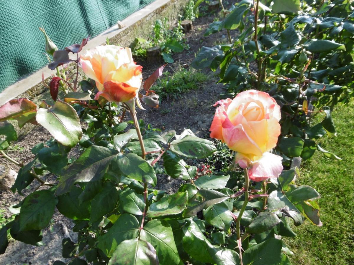 La Musardiere Auzouer-en-Touraine Eksteriør bilde